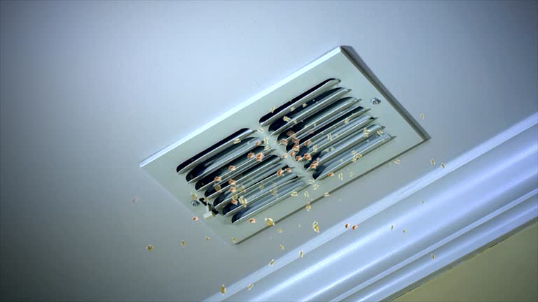 Best Best Air Duct Cleaning Company  in Sandia Heights, NM
