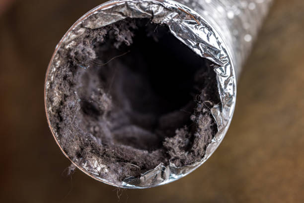 Best Air Duct Cleaning Near Me  in Sandia Heights, NM
