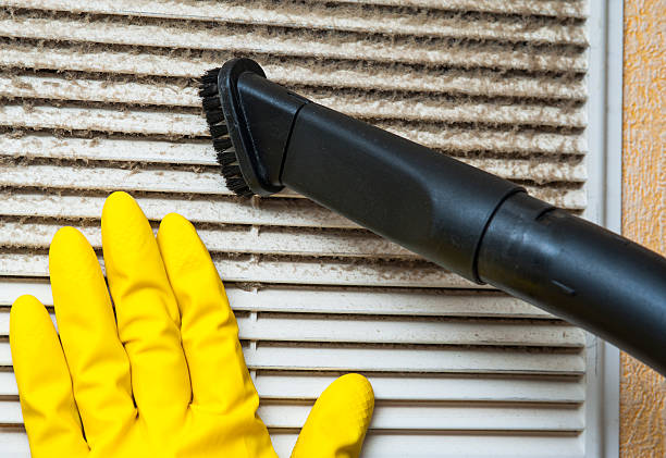 Best Affordable Air Duct Cleaning  in Sandia Heights, NM